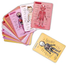 Janod Jeux Éducatifs Primaire|Jeux Éducatifs Science & Géographie*Body Magnet L'Anatomie - 12 langues