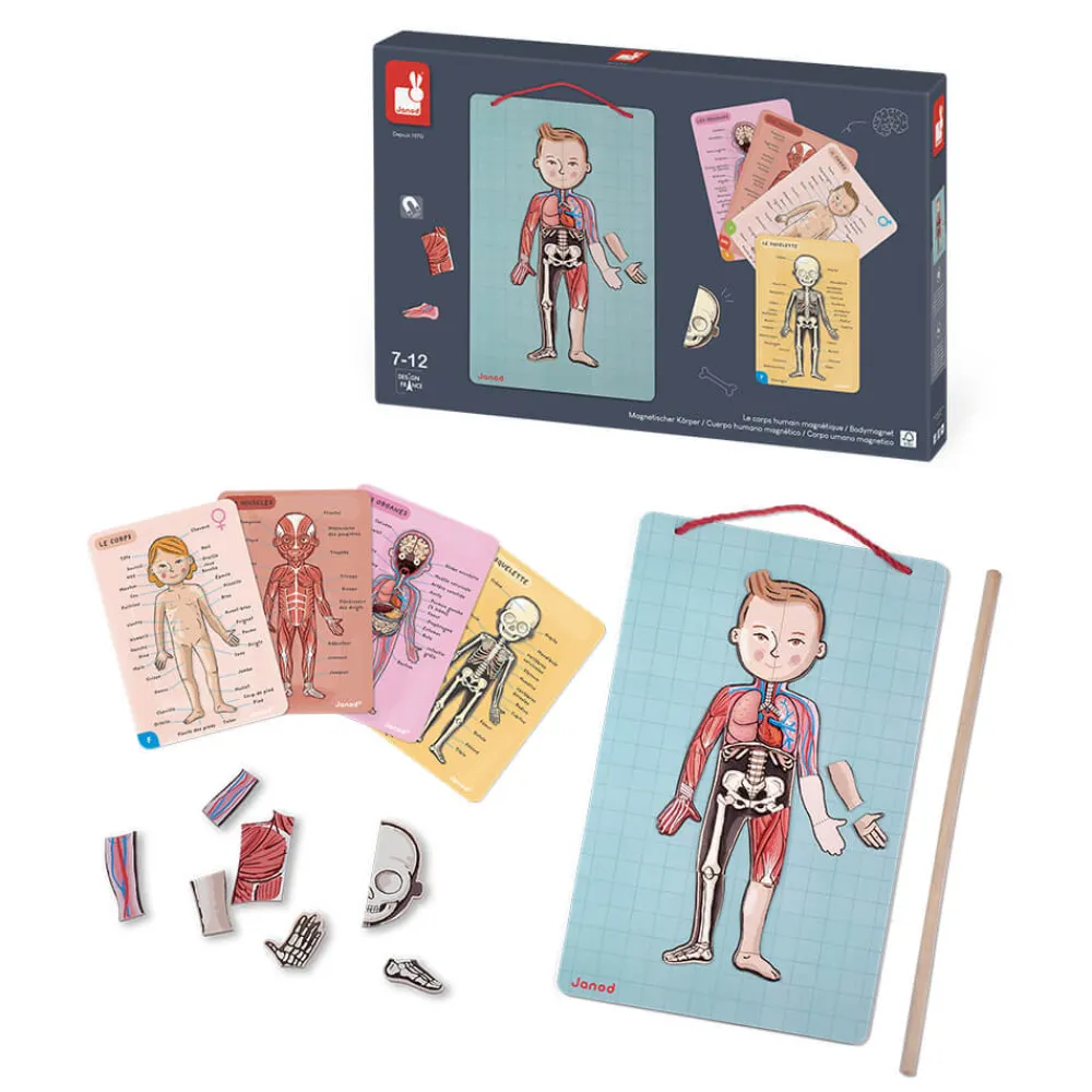 Janod Jeux Éducatifs Primaire|Jeux Éducatifs Science & Géographie*Body Magnet L'Anatomie - 12 langues