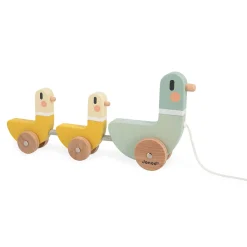 Janod Jouets À Promener & À Pousser*Canards à Tirer Sweet Cocoon