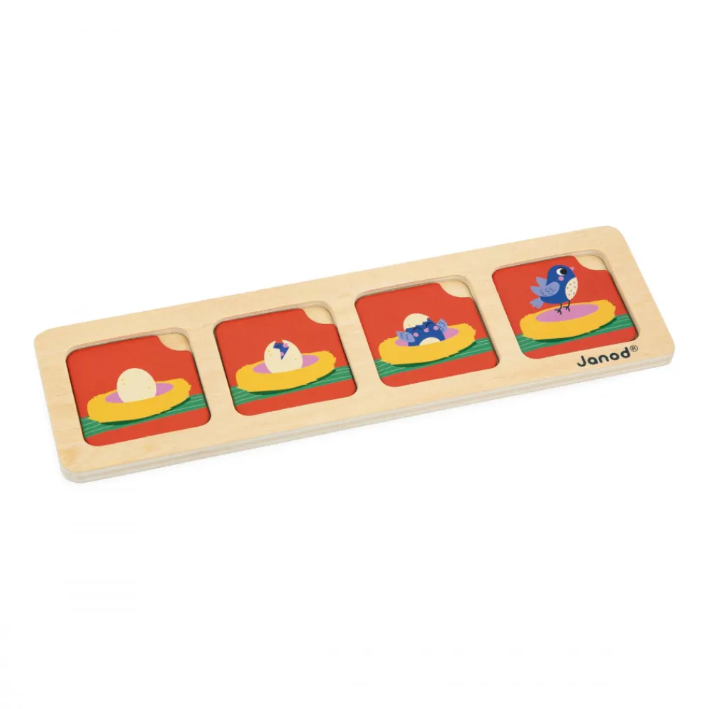 Janod Jeux Éducatifs Maternelle|Jeux Éducatifs Science & Géographie*Cartes Séquences - Le Jardin