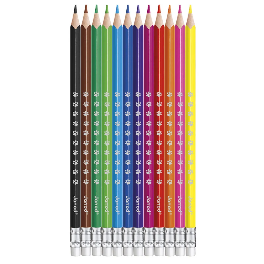 Janod Peinture Par Numéro & Coloriage*Crayons Effaçables x12