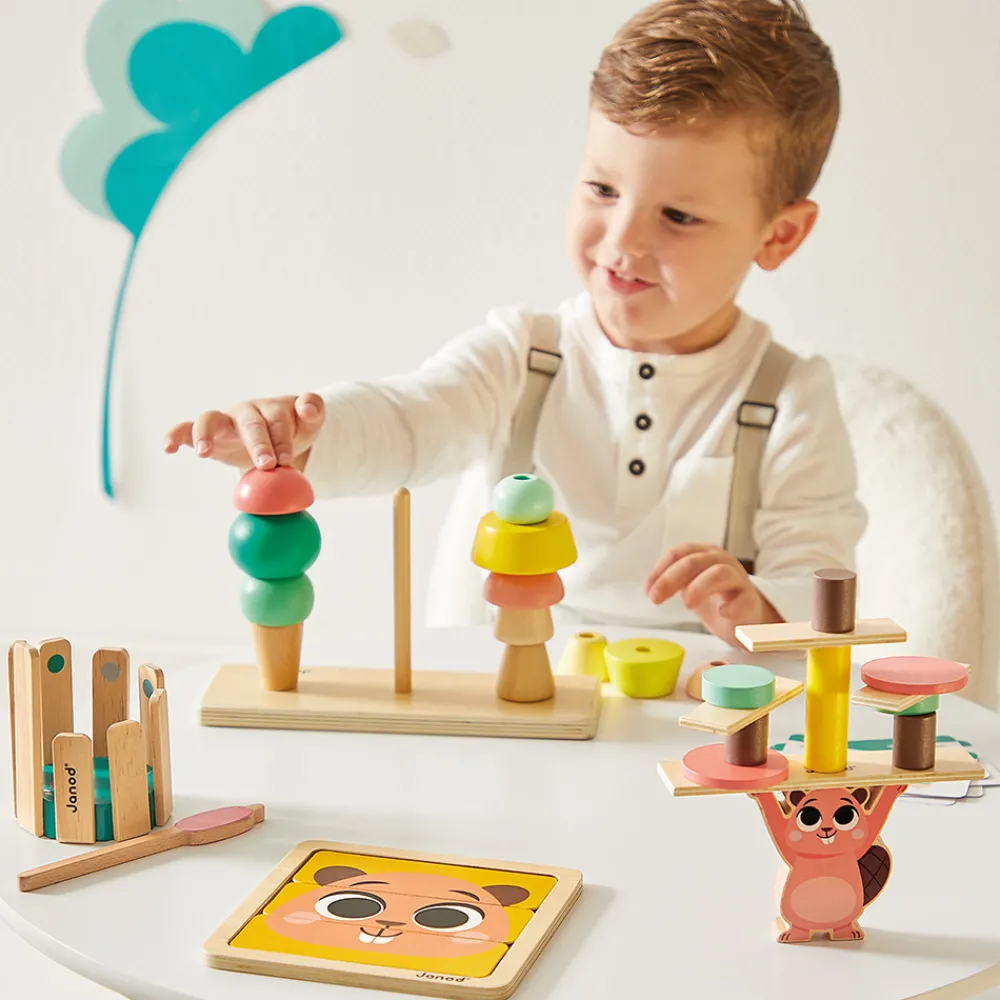 Janod Formes & Couleurs|Jouets Musicaux*Box - 36 mois