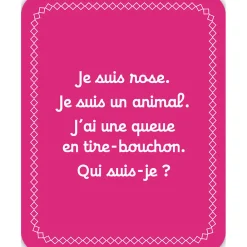 Janod Jeux Éducatifs Maternelle*Jeu Cherche et Trouve les Couleurs