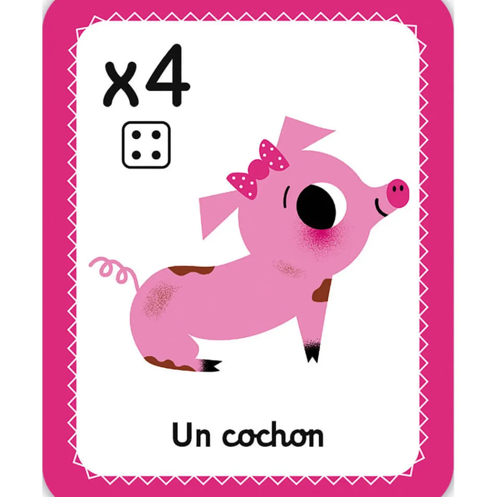 Janod Jeux Éducatifs Maternelle*Jeu Cherche et Trouve les Couleurs