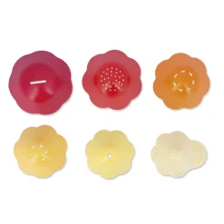 Janod Cubes & Seaux De Bain|Gicleurs & Éponges De Bain*Jouet de Bain Bernard & Sa Coquille