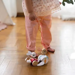 Janod Jouets À Promener & À Pousser*Lapins à promener (bois)