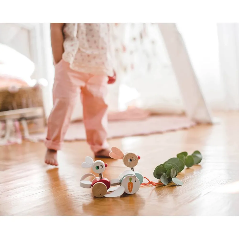 Janod Jouets À Promener & À Pousser*Lapins à promener (bois)