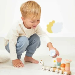 Janod Formes & Couleurs|Jouets Magnétiques*Train à Tirer Sweet Cocoon