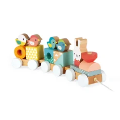 Janod Trains & Véhicules*Train Pure (bois)